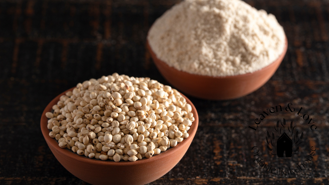 The Power of Sorghum: A Wholesome Grain with Deep Roots