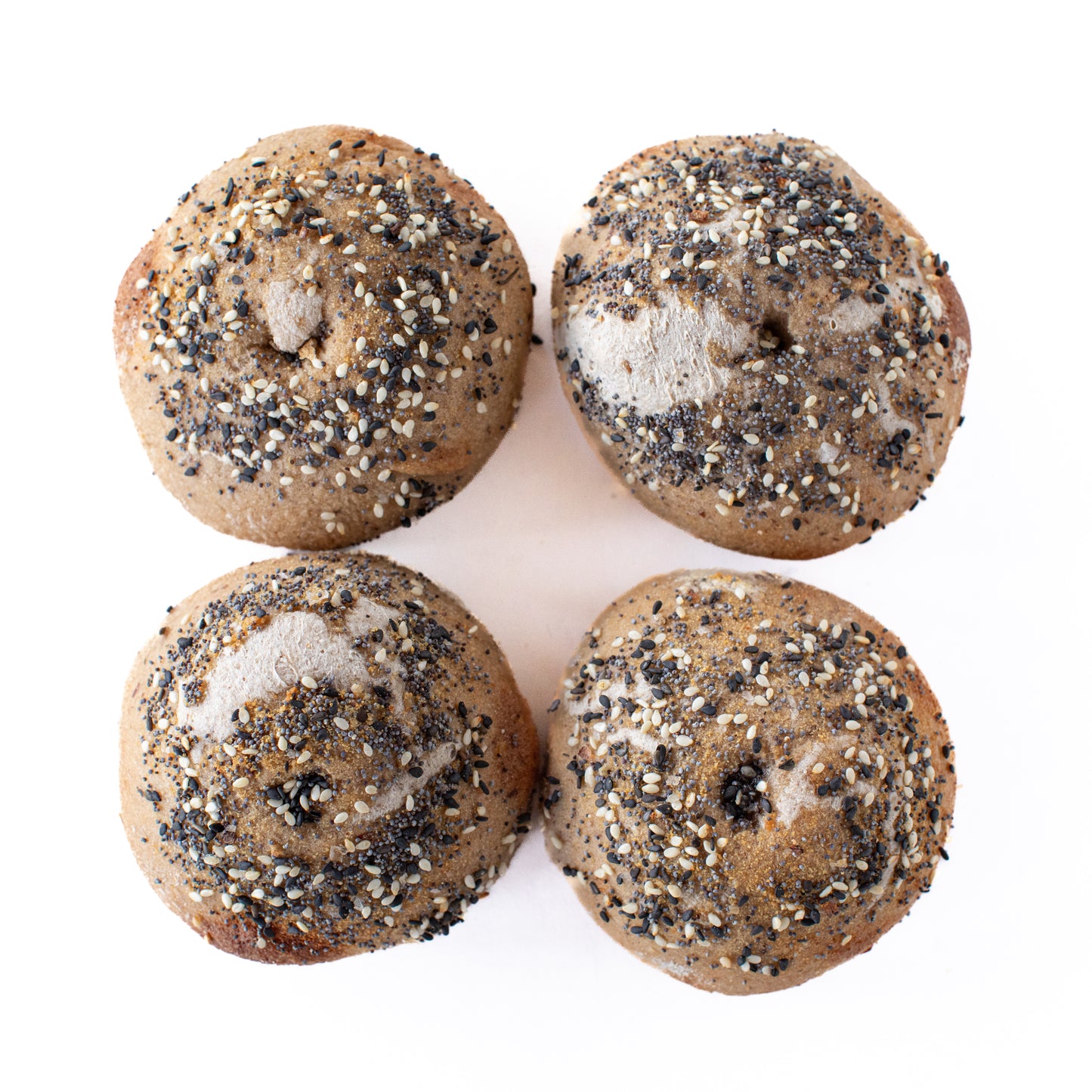 organic gluten-free sourdough everything bagels 