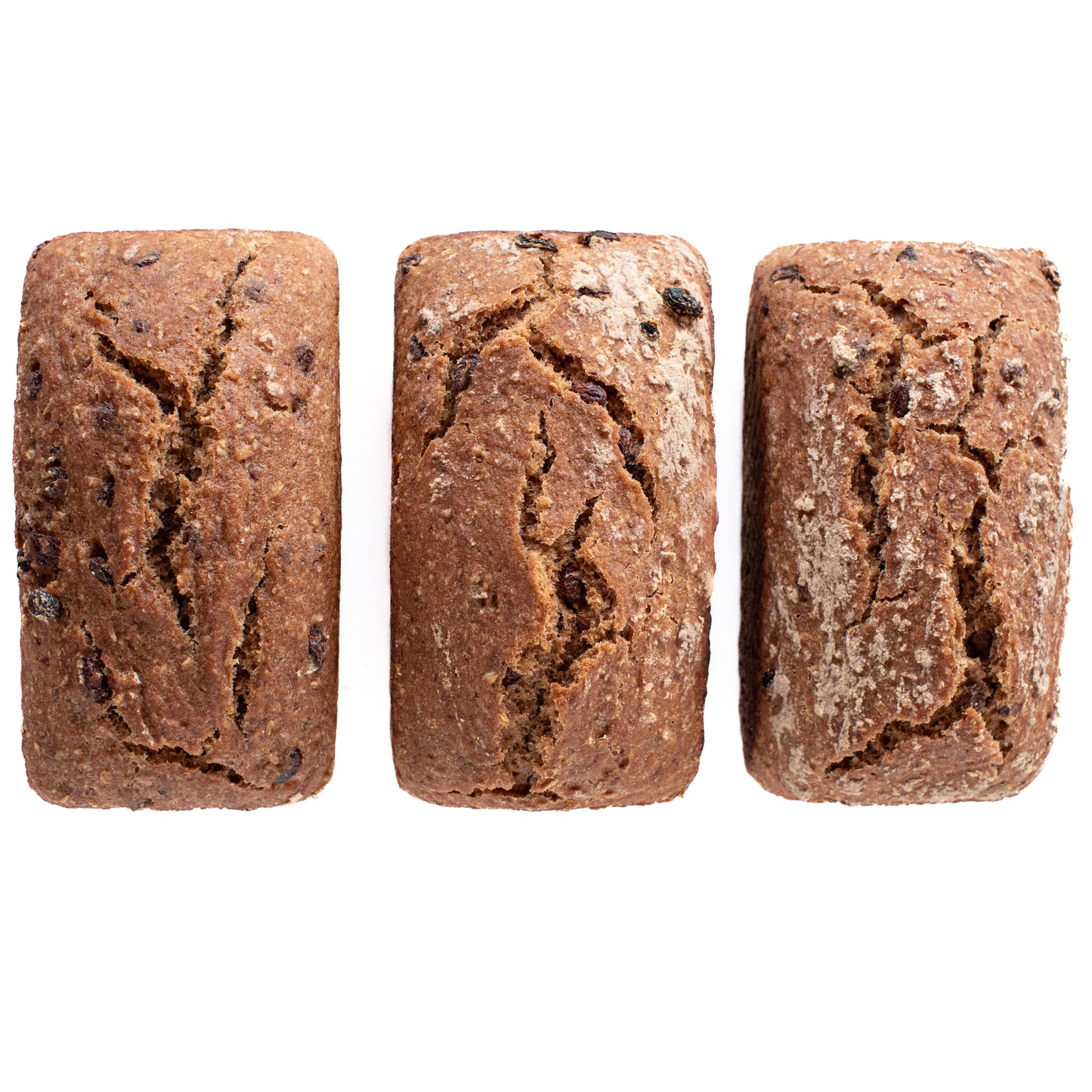 Organic Gluten-Free Sourdough